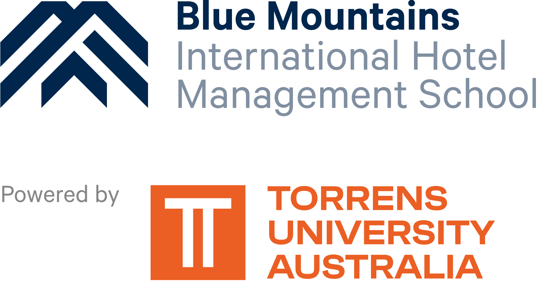 BMIHMS Torrens Logo