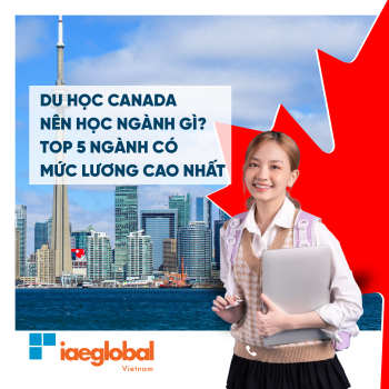 What should I study in Canada? Top 5 industries with the highest salary updated by 2025