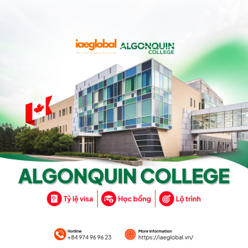 Du học Canada 2026 tại Algonquin College: Tỷ lệ visa, học bổng và lộ trình