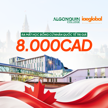 Học bổng Du học Canada 2026: Algonquin College Công Bố Suất Cử Nhân 8.000 CAD