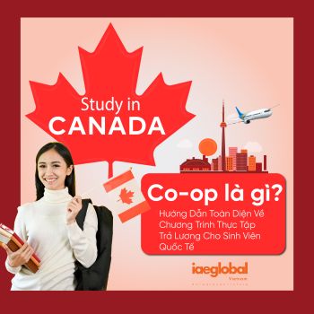 What is Canadian Co-op? Comprehensive guidance on the salary paid internship program for international students