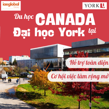 Du học Canada: Hỗ trợ toàn diện và cơ hội việc làm rộng mở tại Đại học York