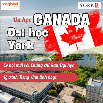Du học Canada: Cơ hội mới với Chứng chỉ Sau Đại học tại Đại học York & Lộ trình Tiếng Anh linh hoạt
