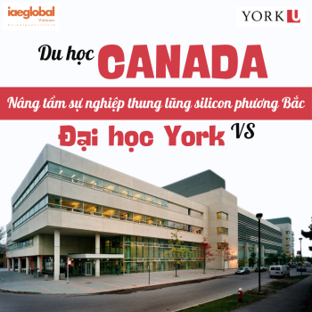 Du học Canada: Nâng tầm sự nghiệp Thung lũng Silicon phương Bắc với Đại học York
