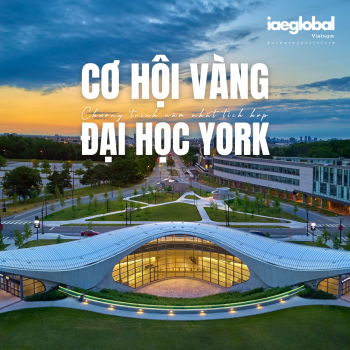 Cơ Hội Vàng: Chương Trình Năm Nhất Tích Hợp Tại Đại Học York, Canada