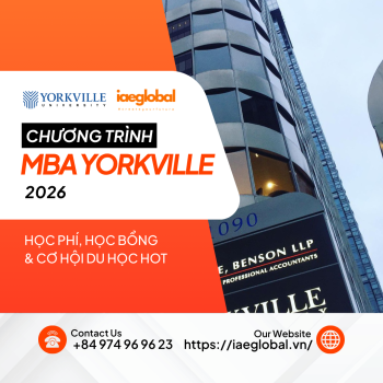 Chương Trình MBA Yorkville, Canada 2026: Học Phí, Học Bổng & Cơ Hội Du Học Hot