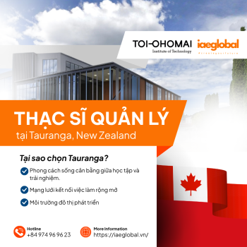 Du học Thạc sĩ Quản lý tại Tauranga, New Zealand: Lộ trình cho kỳ nhập học tháng 11/2026