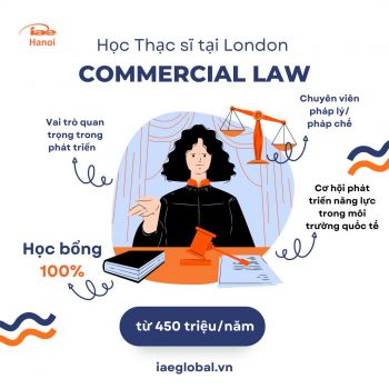 COMMERCIAL LAW - VAI TRÒ QUAN TRỌNG VỚI NỀN KINH TẾ