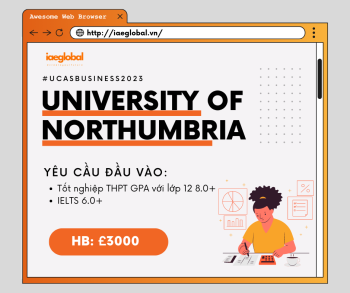 TÌM HIỂU UNIVERSITY OF NORTHUMBRIA LONDON - NGÀNH BUSINESS