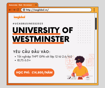 NGÀNH BUSINESS - UNIVERSITY OF WESTMINSTER