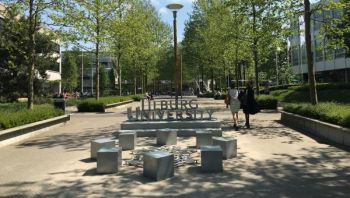 Du học ngành kinh doanh ở Hà Lan: Bước đệm vững chắc cho sự nghiệp toàn cầu