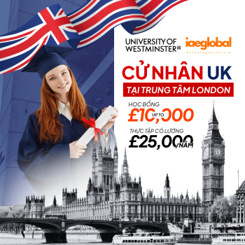 Du Học Anh Tại University of Westminster: Trải Nghiệm 