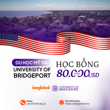 Du học Mỹ tại University of Bridgeport: Cánh cửa tương lai với học bổng lên tới 80.000 USD