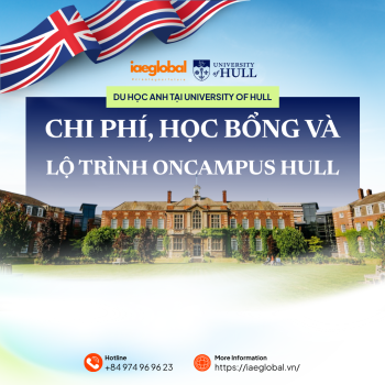 Du học Anh tại University of Hull: Chi phí, học bổng và lộ trình ONCAMPUS Hull