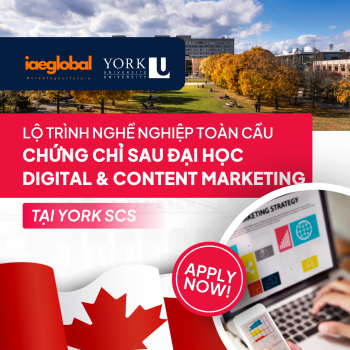 Digital & Content Marketing Graduate Certificate Program at York University (SCS): Global Career Pathway