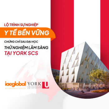Chứng chỉ Sau đại học về Thử nghiệm Lâm sàng tại York SCS: Lộ trình sự nghiệp y tế bền vững