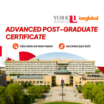 Advanced Post-Graduate Certificate: Vận Hành An Ninh Mạng & Hacking Đạo Đức Tại Đại học York (YorkU)